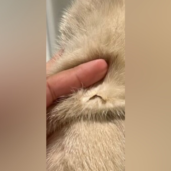 Tourmaline white blonde mink Vtg coat jacket pristine condition pockets collar M - Picture 14 of 14